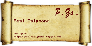 Pesl Zsigmond névjegykártya